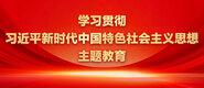 啊啊啊大鸡吧操逼视频学习贯彻习近平新时代中国特色社会主义思想主题教育_fororder_ad-371X160(2)